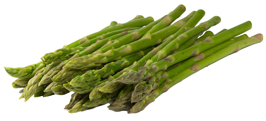 Asparagus kualitas Grade A