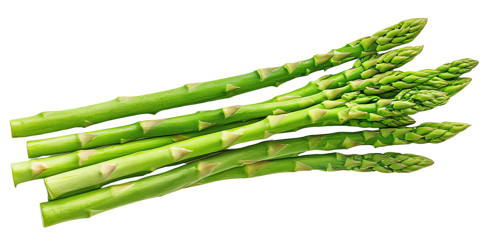 Asparagus segar Desa Belok/Sidan