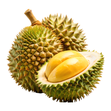 Durian Musangking